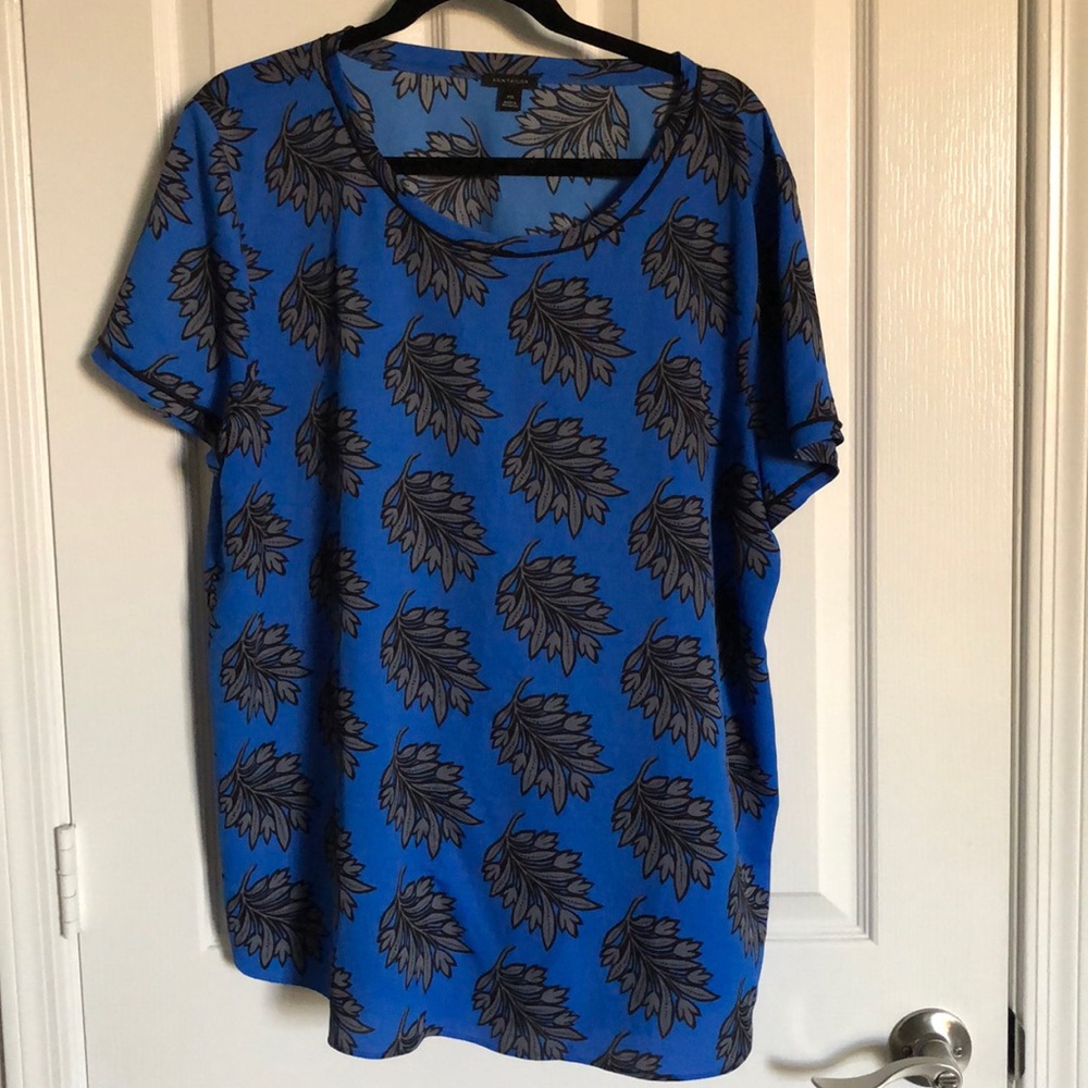 Blue Ann Taylor Blouse